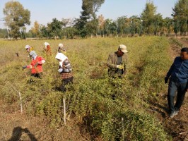 ͼΪ������Ա���ھ�ѡ�ӱ䵥��