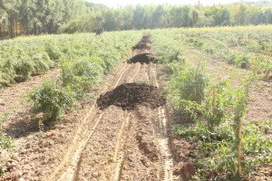 ͼΪ��������������˷�