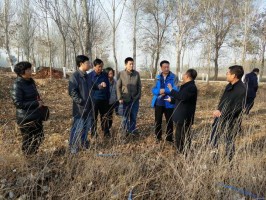 ͼΪ�����ʵ�ز鿴���ؽ������