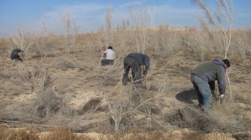 ְ�����ڶ��������ƽ��