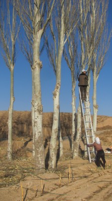 ְ��������֦