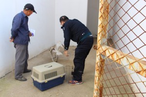 ͼΪ�񾯽����˵İ������͵�����վ