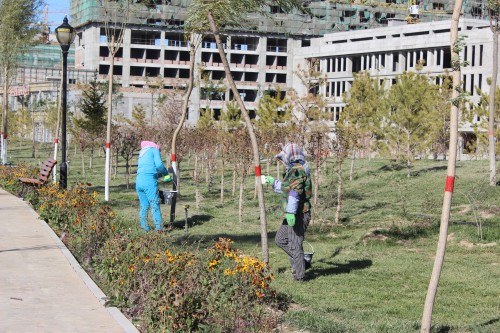 ͼΪ�������ڽ�����ľͿ��